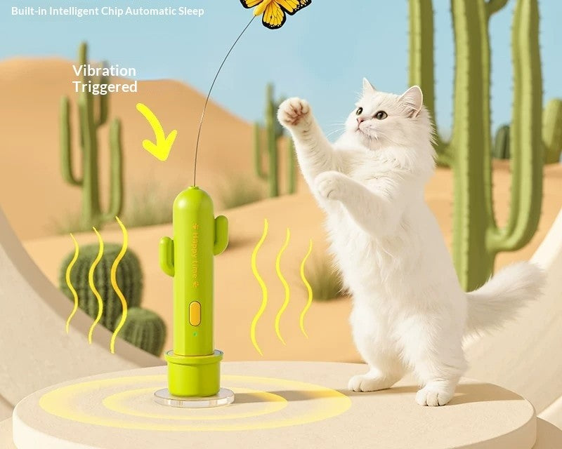 beam and a very focused cat