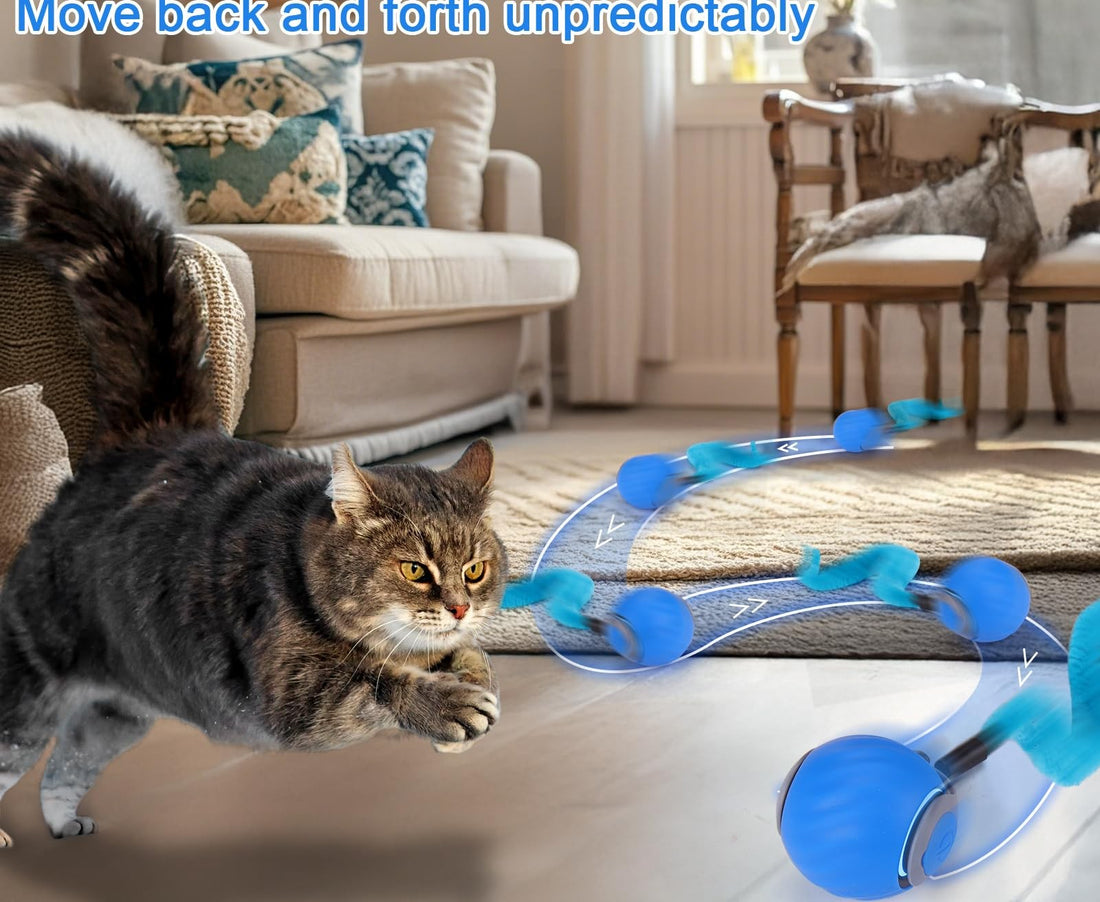 dart in the living room — mid-chase