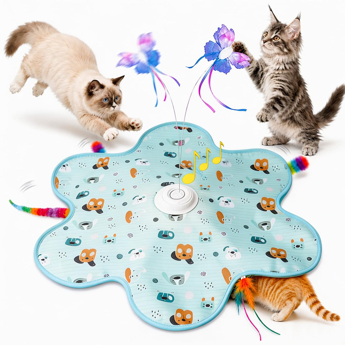 wren — the 3-in-1 chirping hunt toy